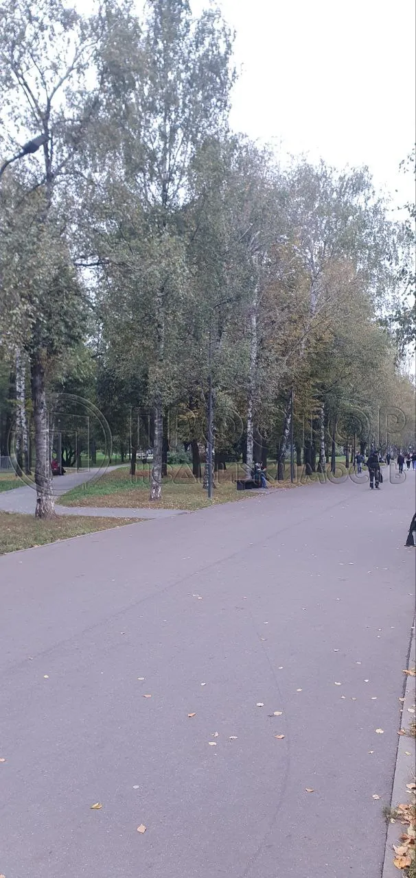 2-комнатная квартира, 38.5 м² - фото 12