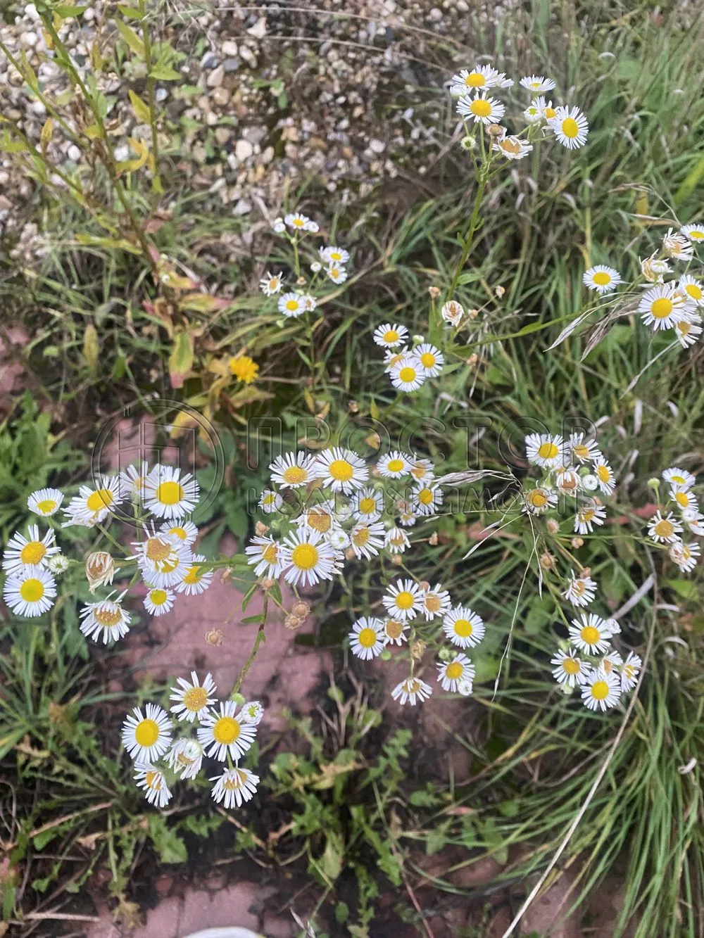 Дом, 60 м² - фото 17