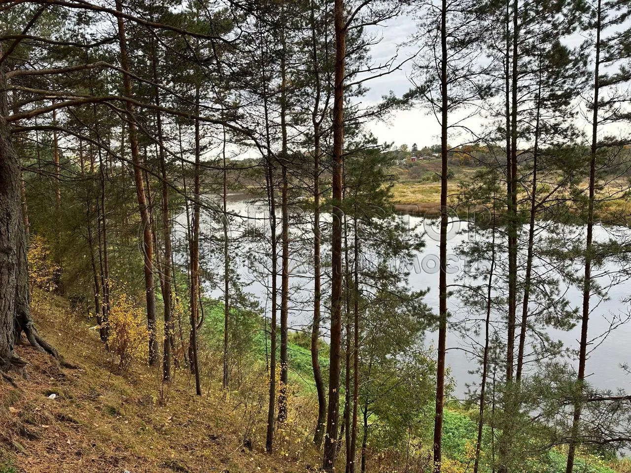 Коммерческая недвижимость (земельный участок),  м² - фото 7