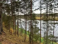 Коммерческая недвижимость (земельный участок),  м² - фото 18