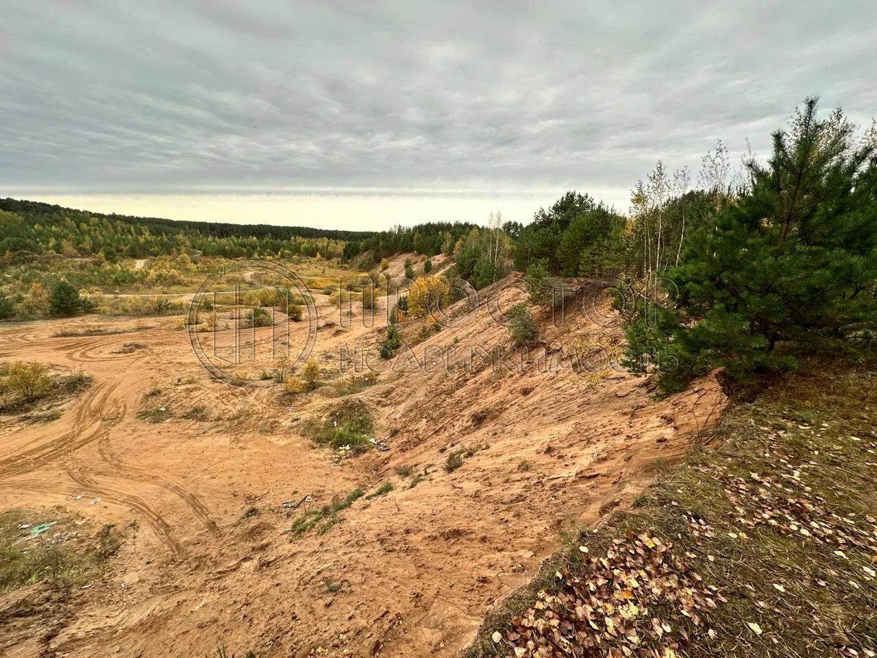 Коммерческая недвижимость (земельный участок),  м² - фото 8