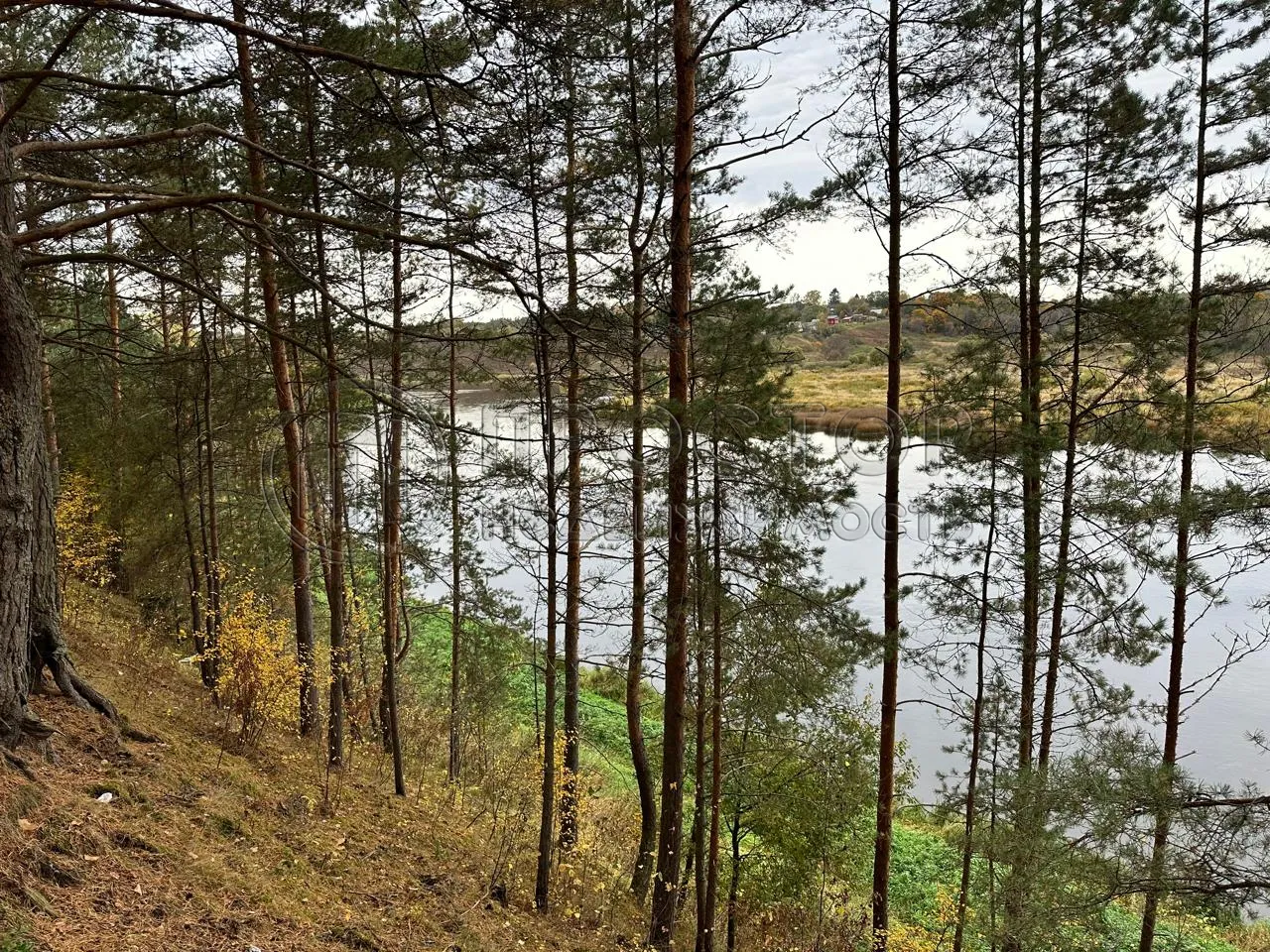 Коммерческая недвижимость (земельный участок),  м² - фото 12