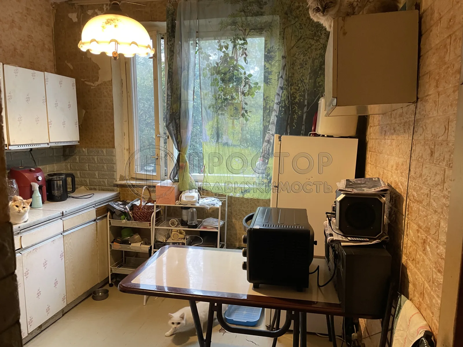 2-комнатная квартира, 52 м² - фото 15