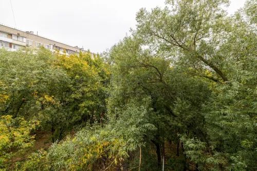 3-комнатная квартира, 64.9 м² - фото 9