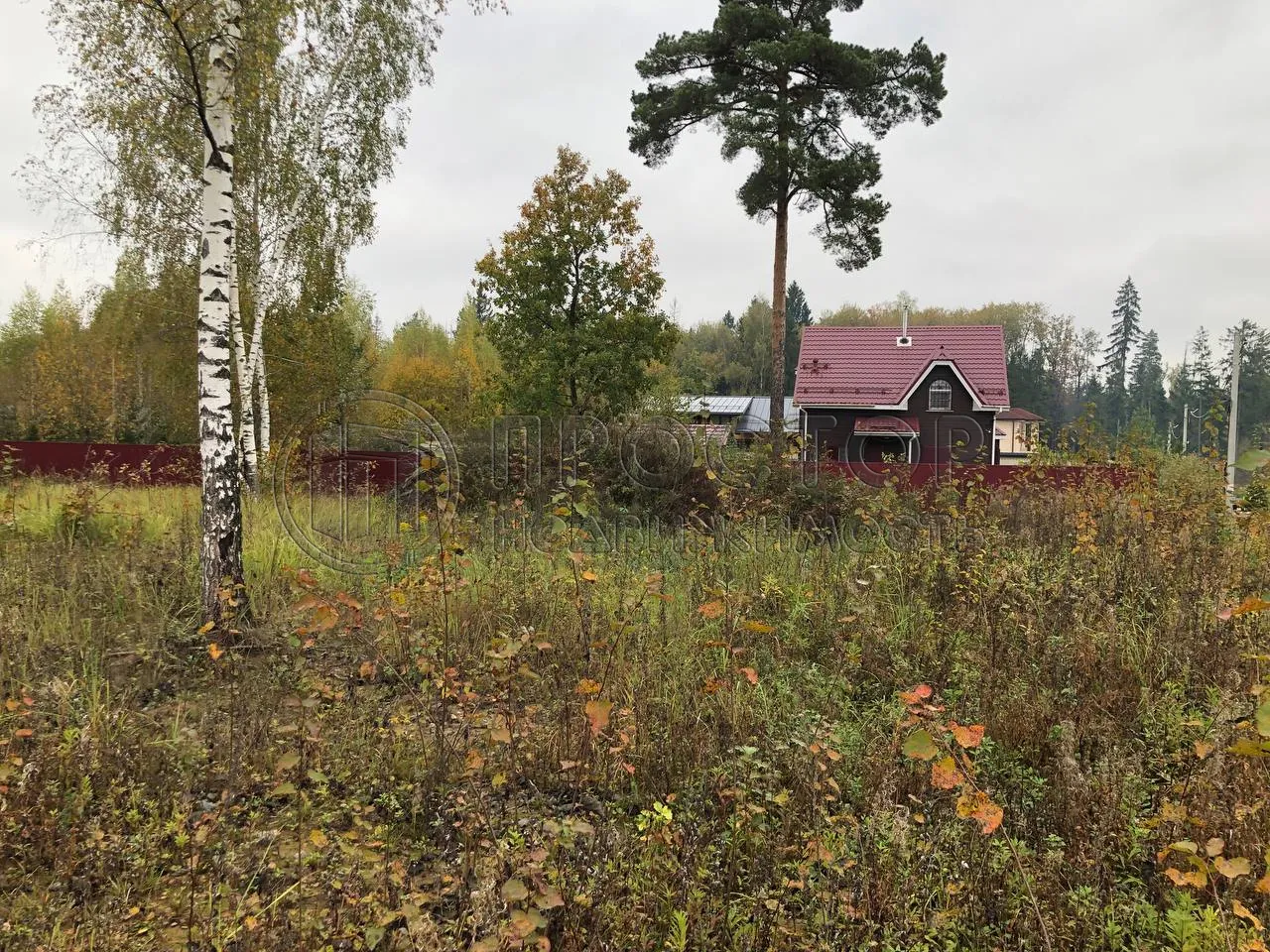 Участок, 12 сот. - фото 6