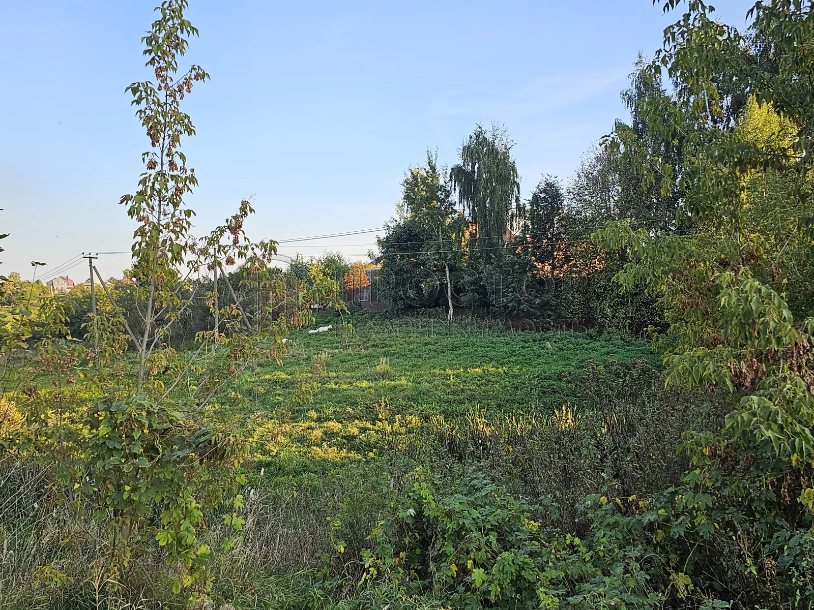 Участок, 26 сот. - фото 4