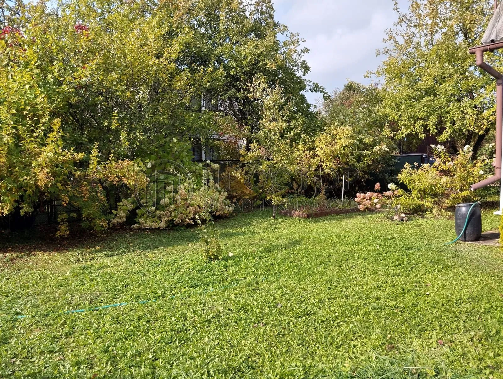 Дом, 49 м² - фото 4