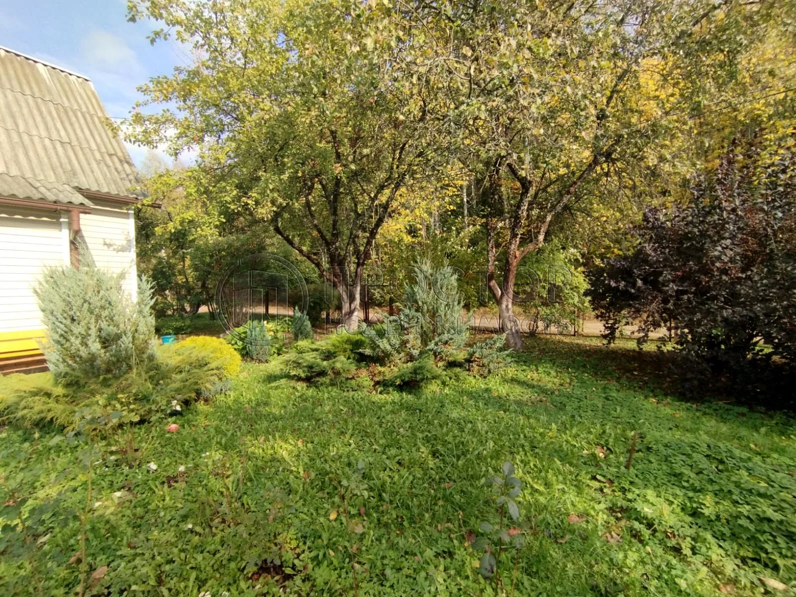 Дом, 49 м² - фото 6