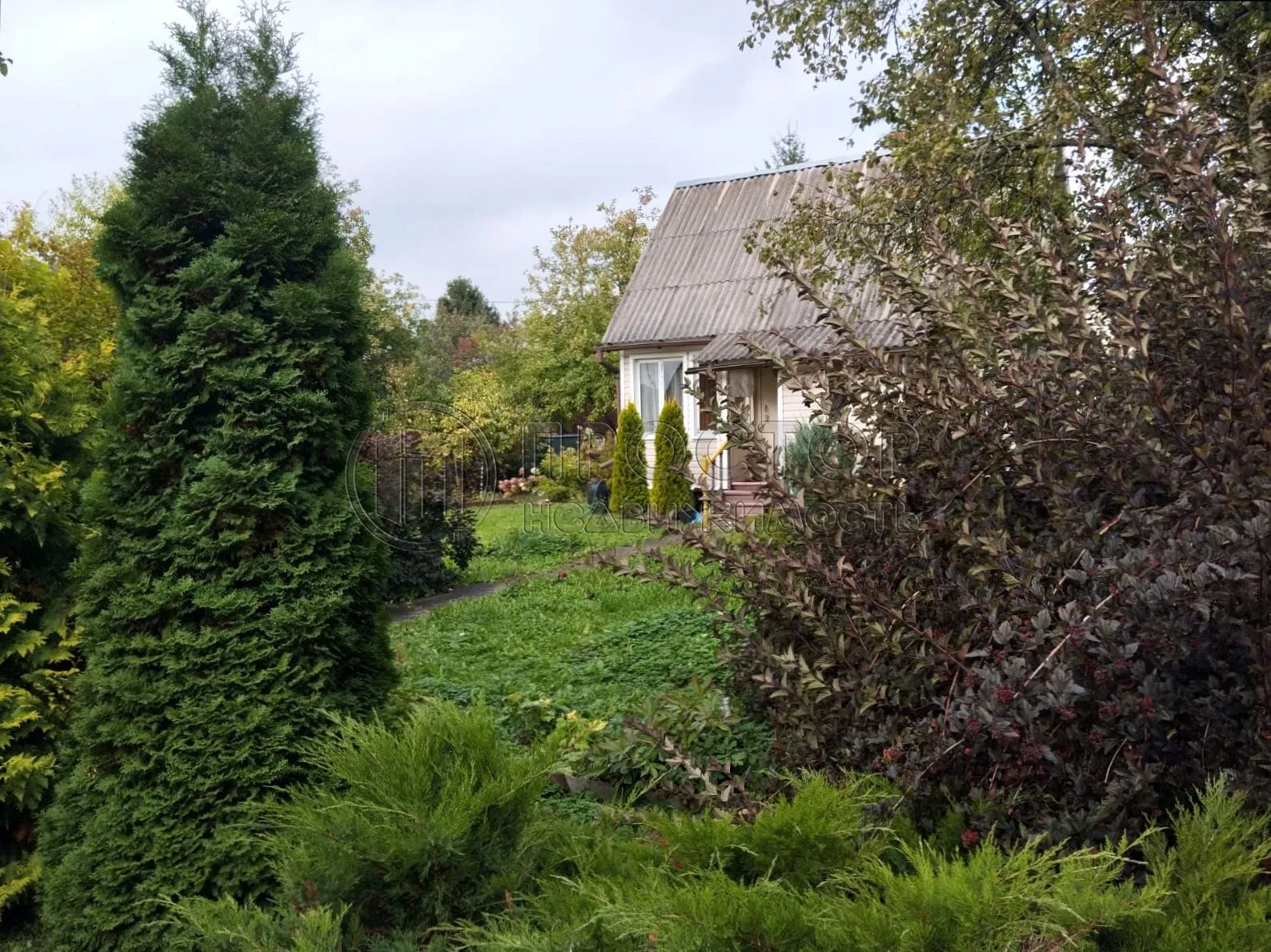 Дом, 49 м² - фото 13