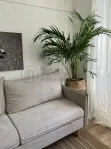 1-комнатная квартира, 31 м² - фото 17