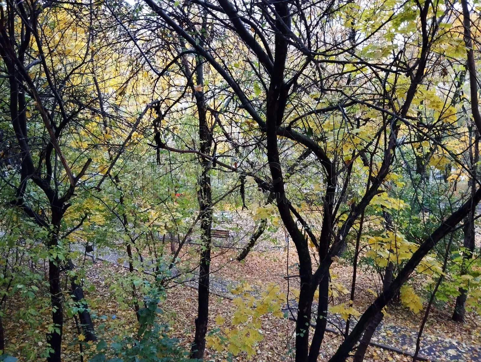 4-комнатная квартира, 62.3 м² - фото 20