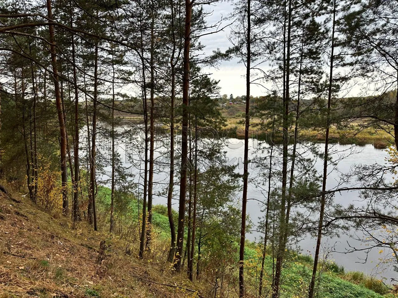 Коммерческая недвижимость (земельный участок),  м² - фото 2