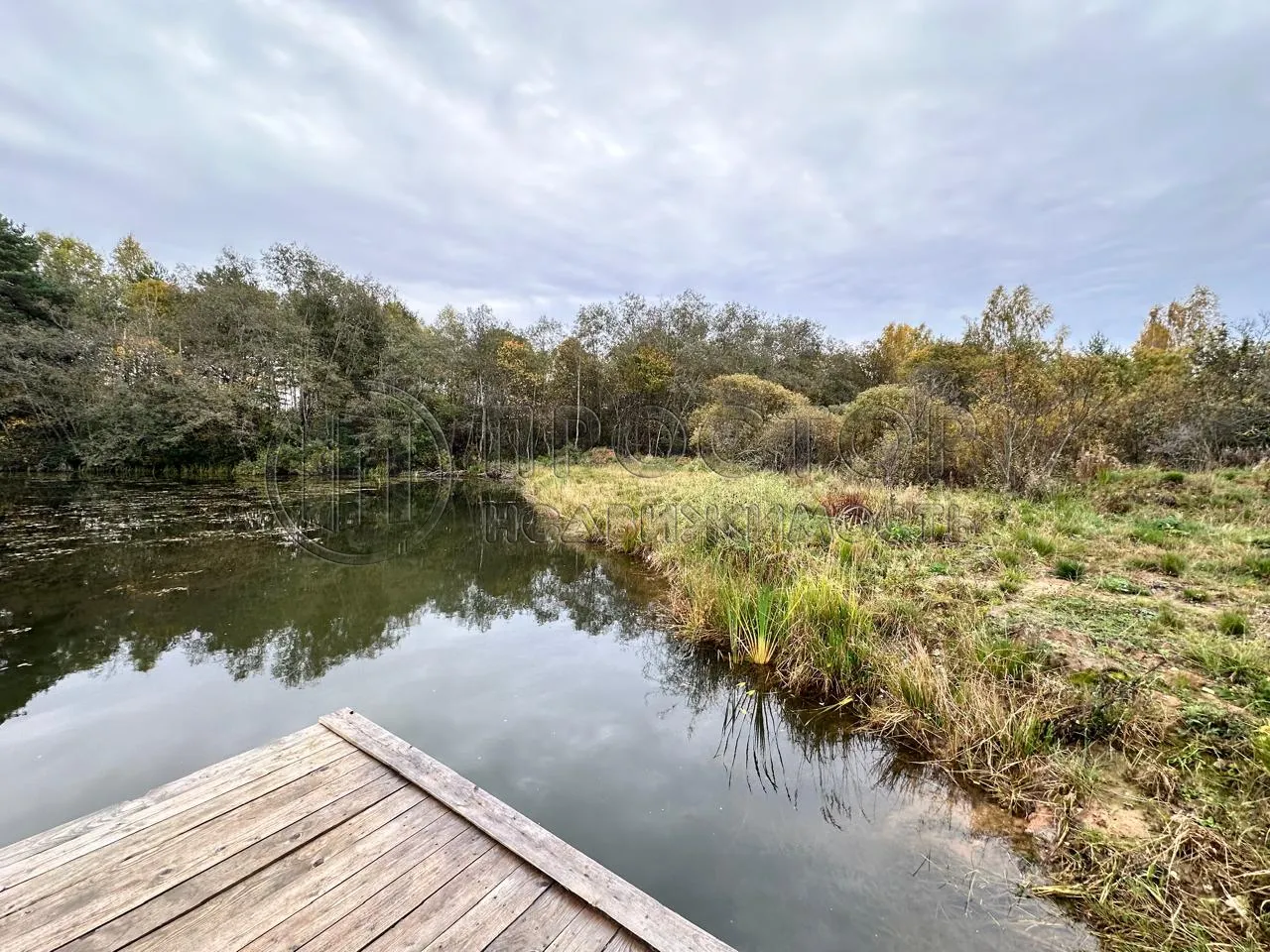 Коммерческая недвижимость (земельный участок),  м² - фото 2