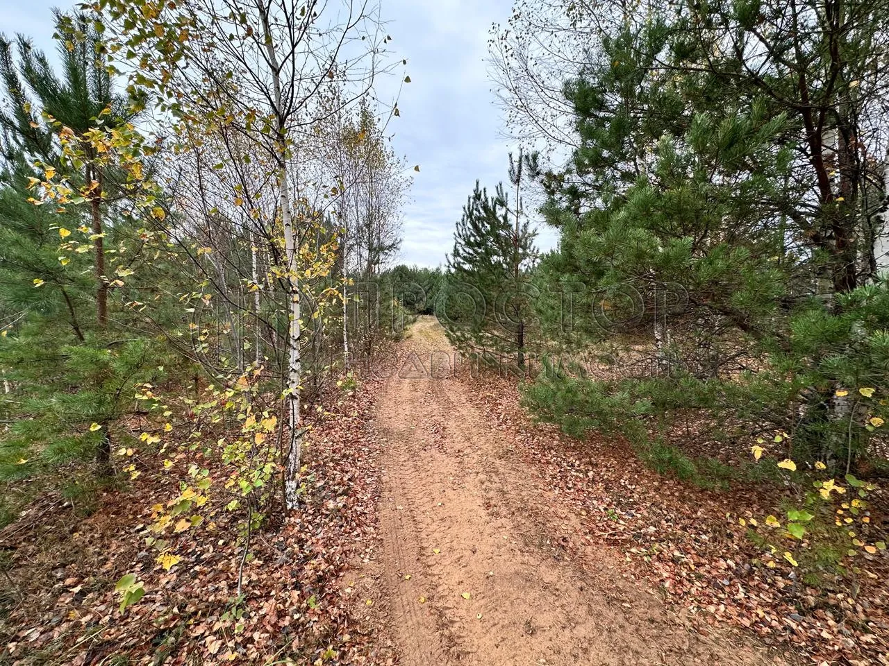 Коммерческая недвижимость (земельный участок),  м² - фото 10