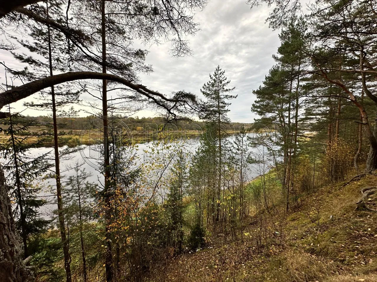 Коммерческая недвижимость (земельный участок),  м² - фото 3