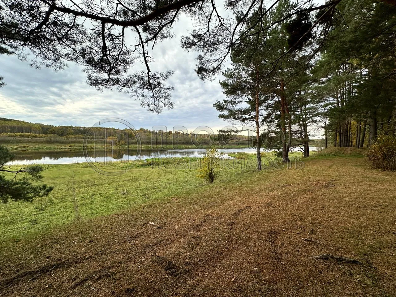 Коммерческая недвижимость (земельный участок),  м² - фото 4