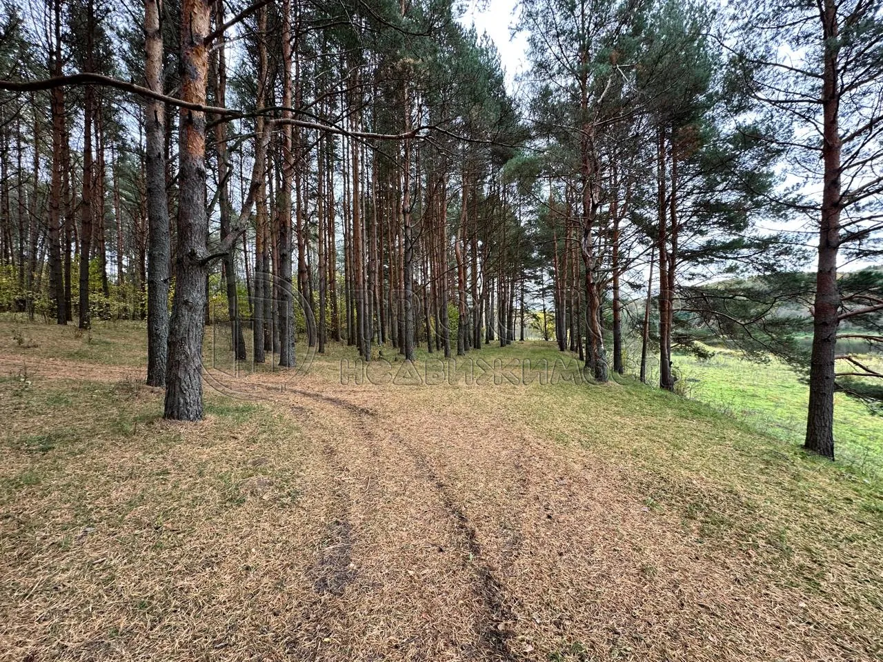 Коммерческая недвижимость (земельный участок),  м² - фото 5