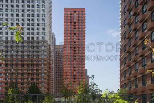 Студия, 23.7 м² - фото 2