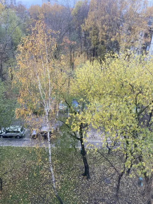 3-комнатная квартира, 63.5 м² - фото 7