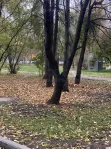 3-комнатная квартира, 63.5 м² - фото 36