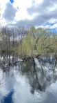 Коммерческая недвижимость (земельный участок),  м² - фото 11