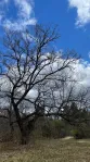 Коммерческая недвижимость (земельный участок),  м² - фото 9