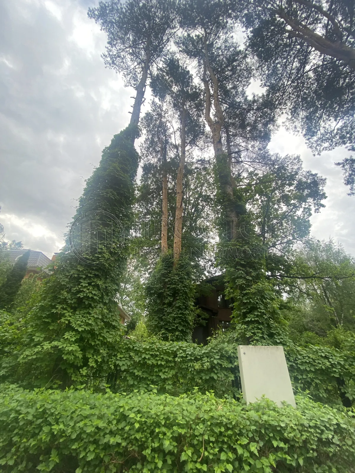 Дом, 200.4 м² - фото 24