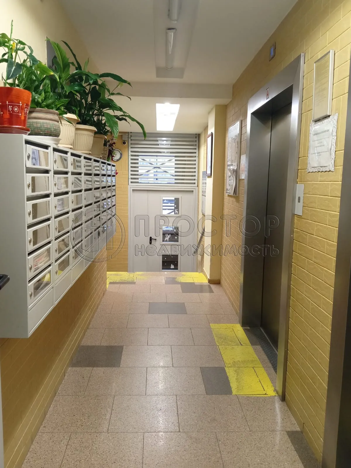 2-комнатная квартира, 53.5 м² - фото 24