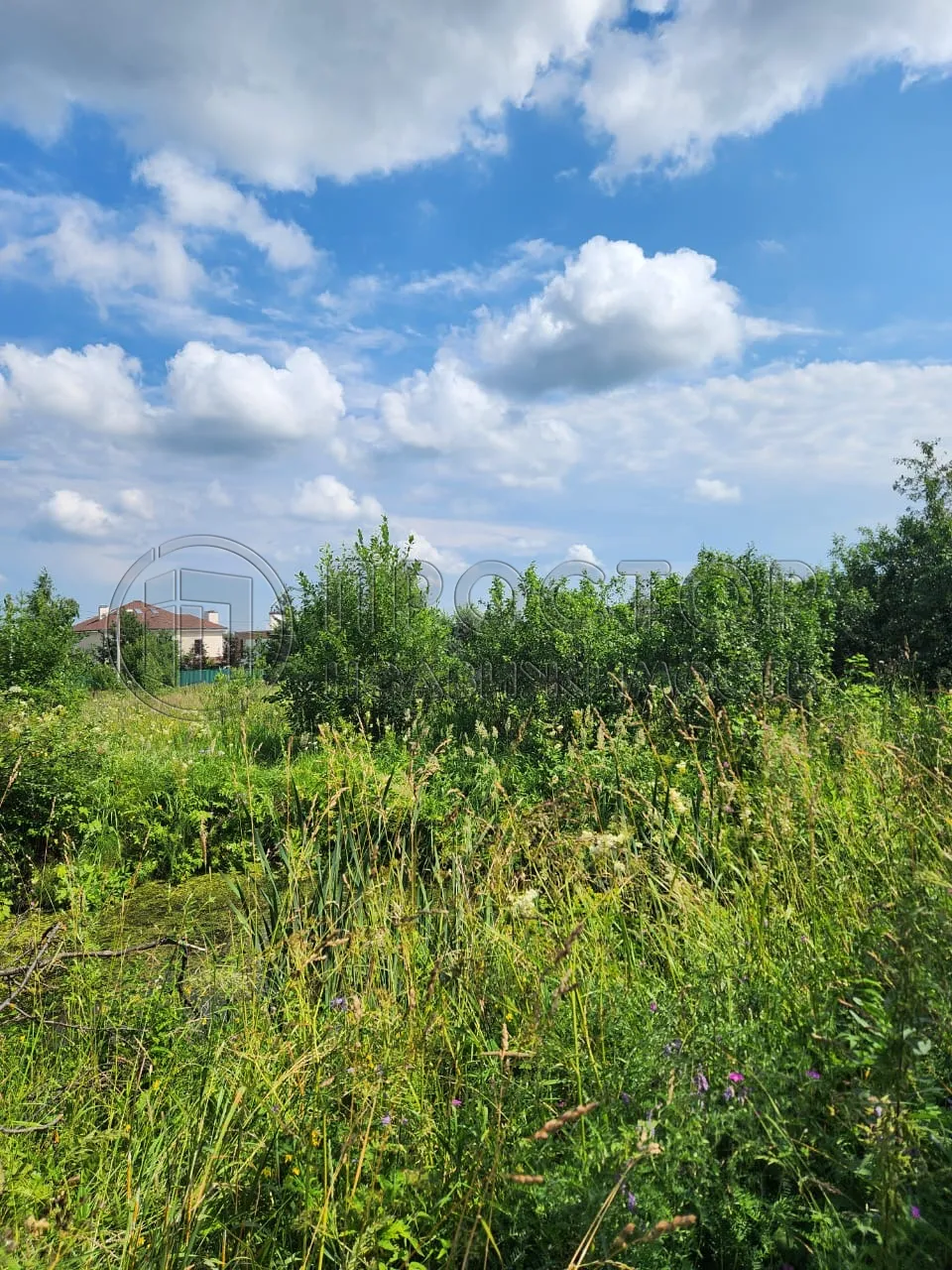 Участок, 9.8 сот. - фото 4