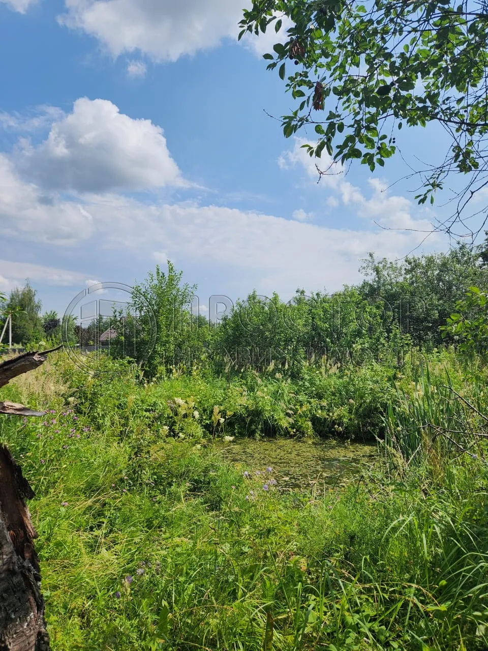 Участок, 7 сот. - фото 2