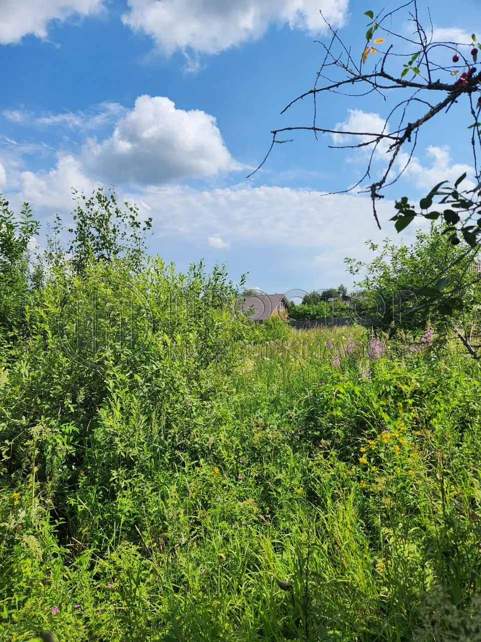 Участок, 7 сот. - фото 3