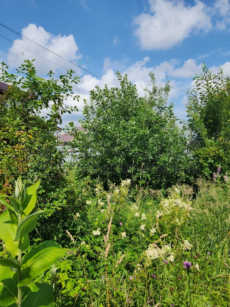 Участок, 7 сот. - фото 4