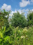 Участок, 7 сот. - фото 15