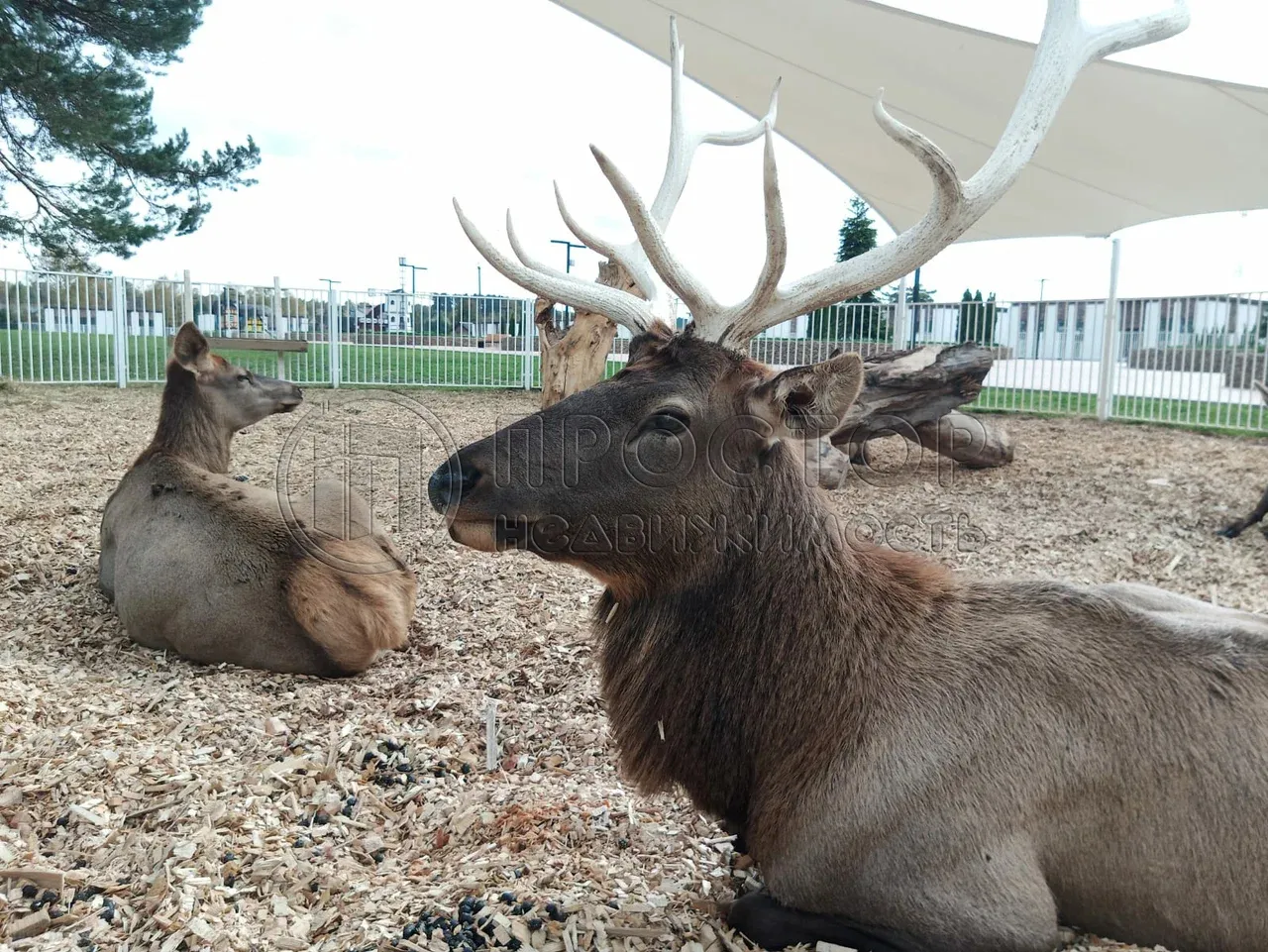 Дом, 77 м² - фото 18