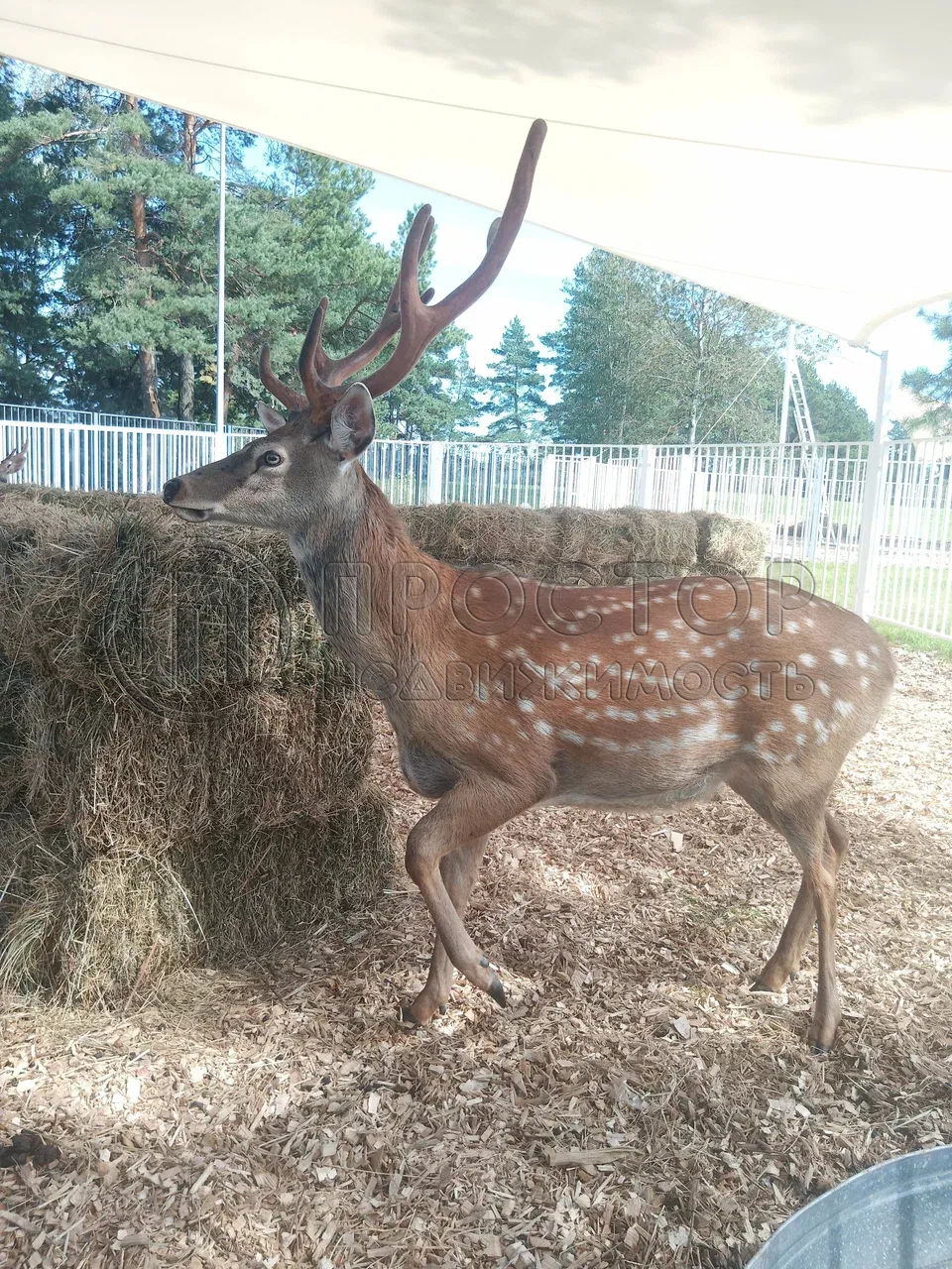 Дом, 77 м² - фото 20