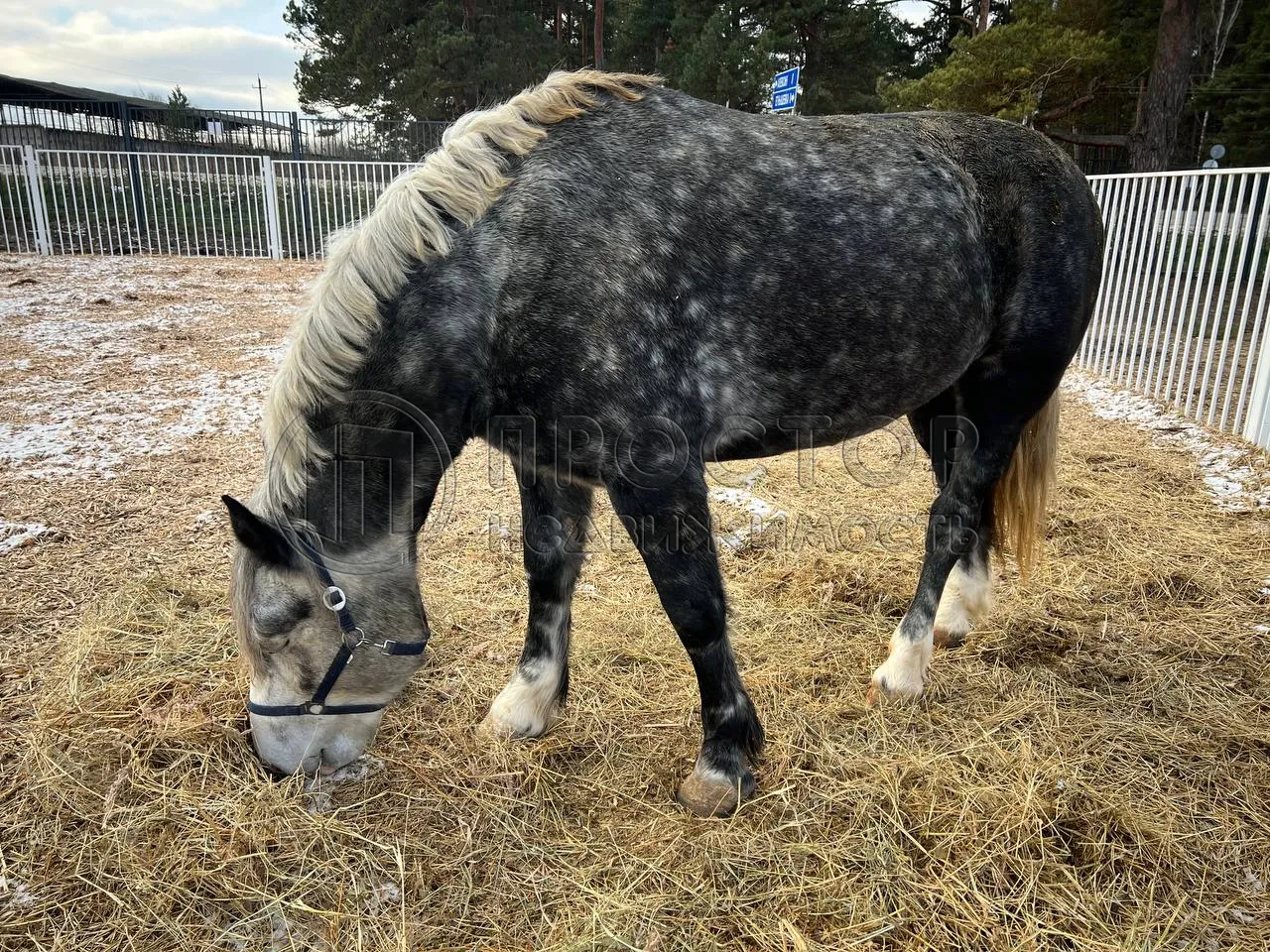 Дом, 77 м² - фото 22