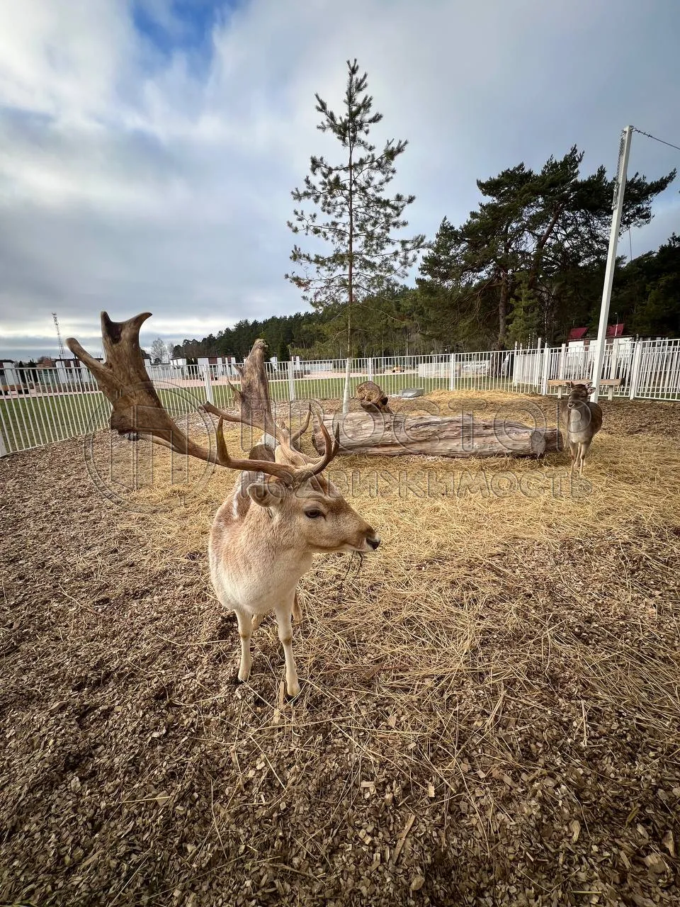 Дом, 77 м² - фото 23