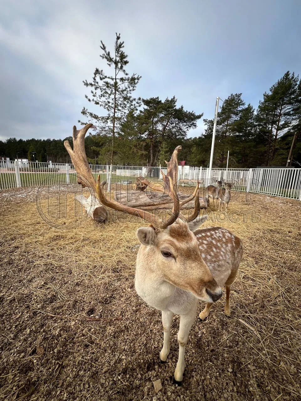 Дом, 77 м² - фото 24