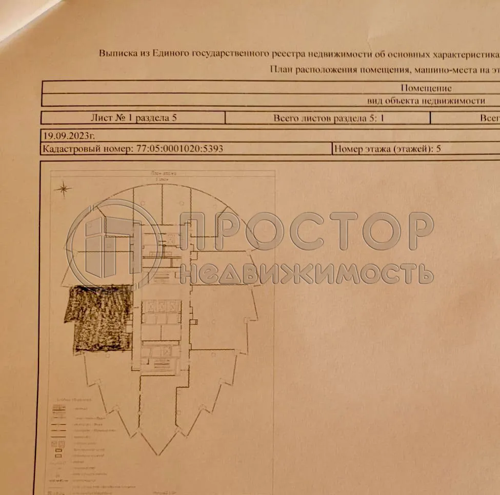 Коммерческая недвижимость (офисное), 241.3 м² - фото 12