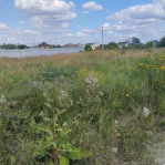 Участок, 7.3 сот. - фото 11