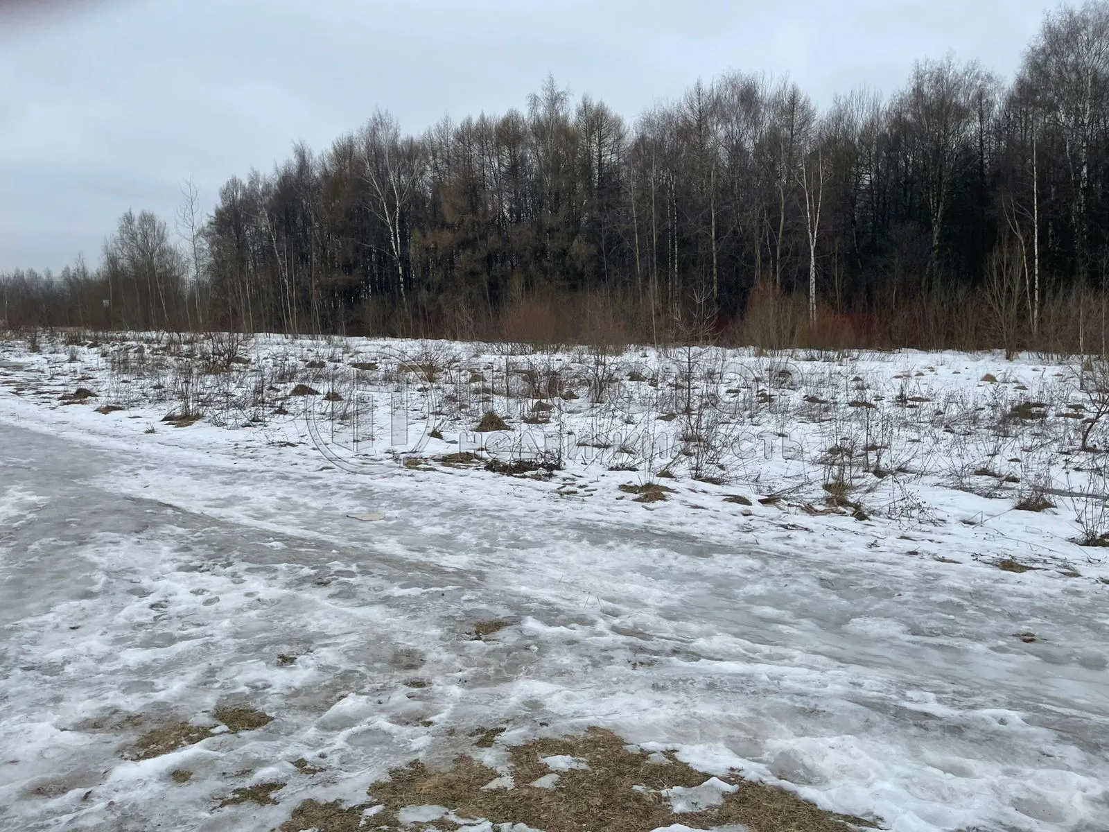 Участок, 7.3 сот. - фото 2