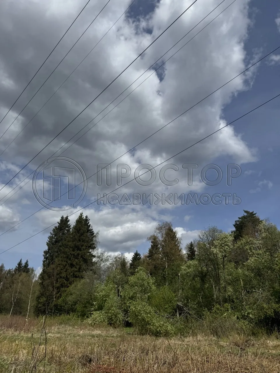 Участок, 7.56 сот. - фото 11