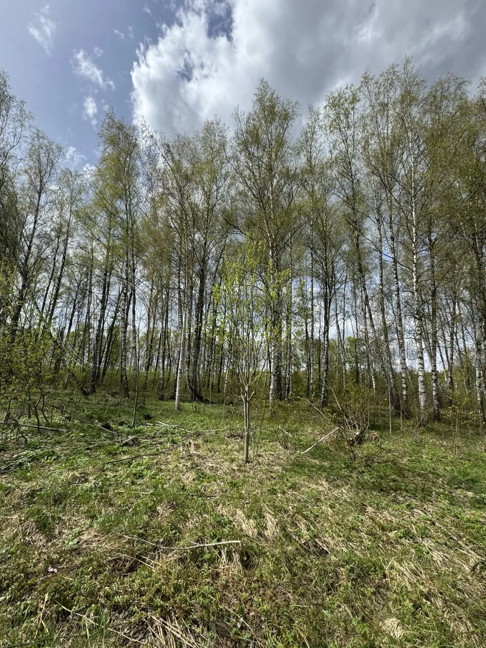 Участок, 7.56 сот. - фото 14