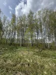 Участок, 7.56 сот. - фото 28