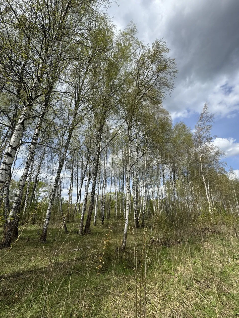 Участок, 7.56 сот. - фото 15