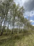 Участок, 7.56 сот. - фото 29
