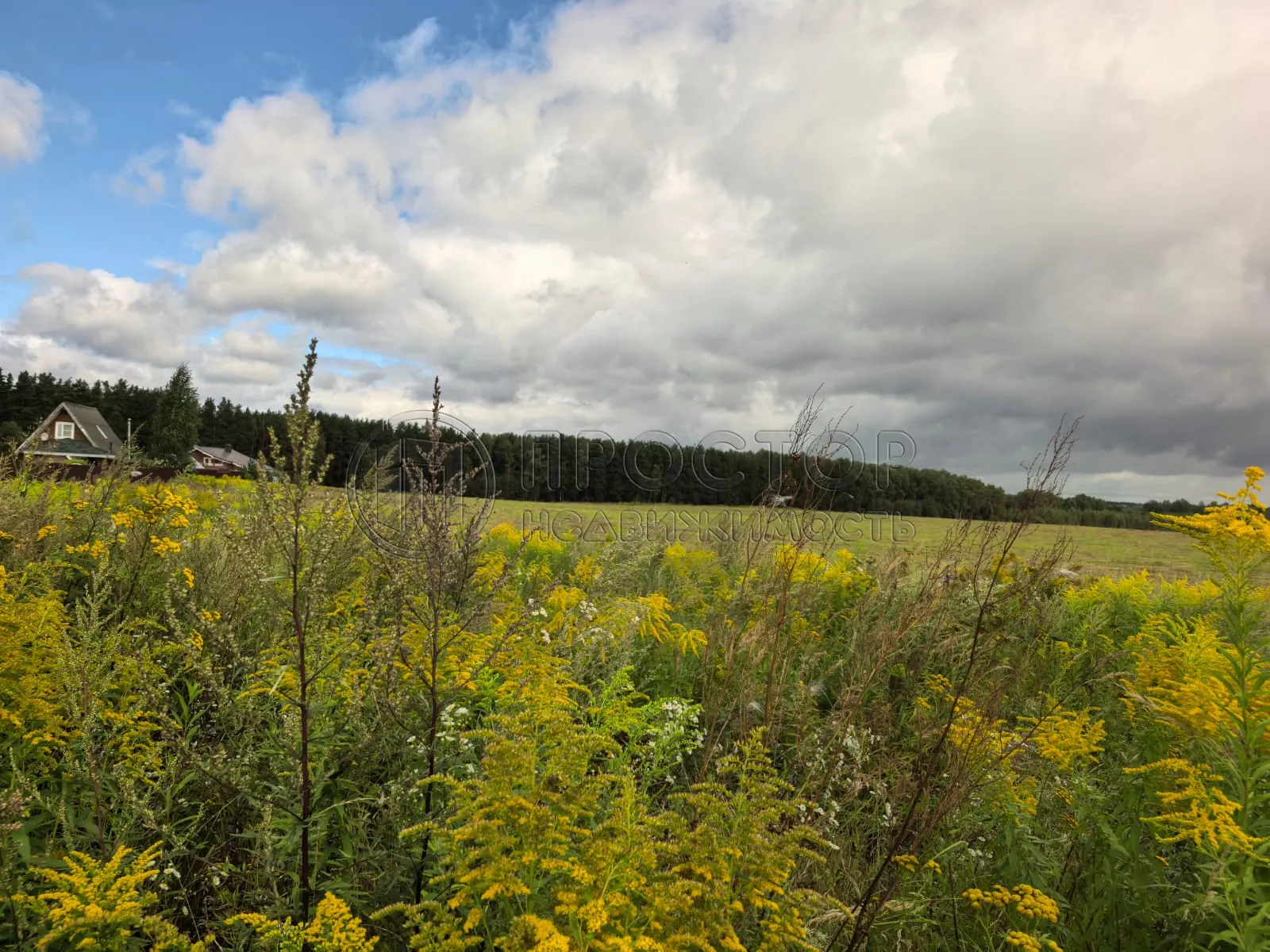 Дом, 300 м² - фото 5