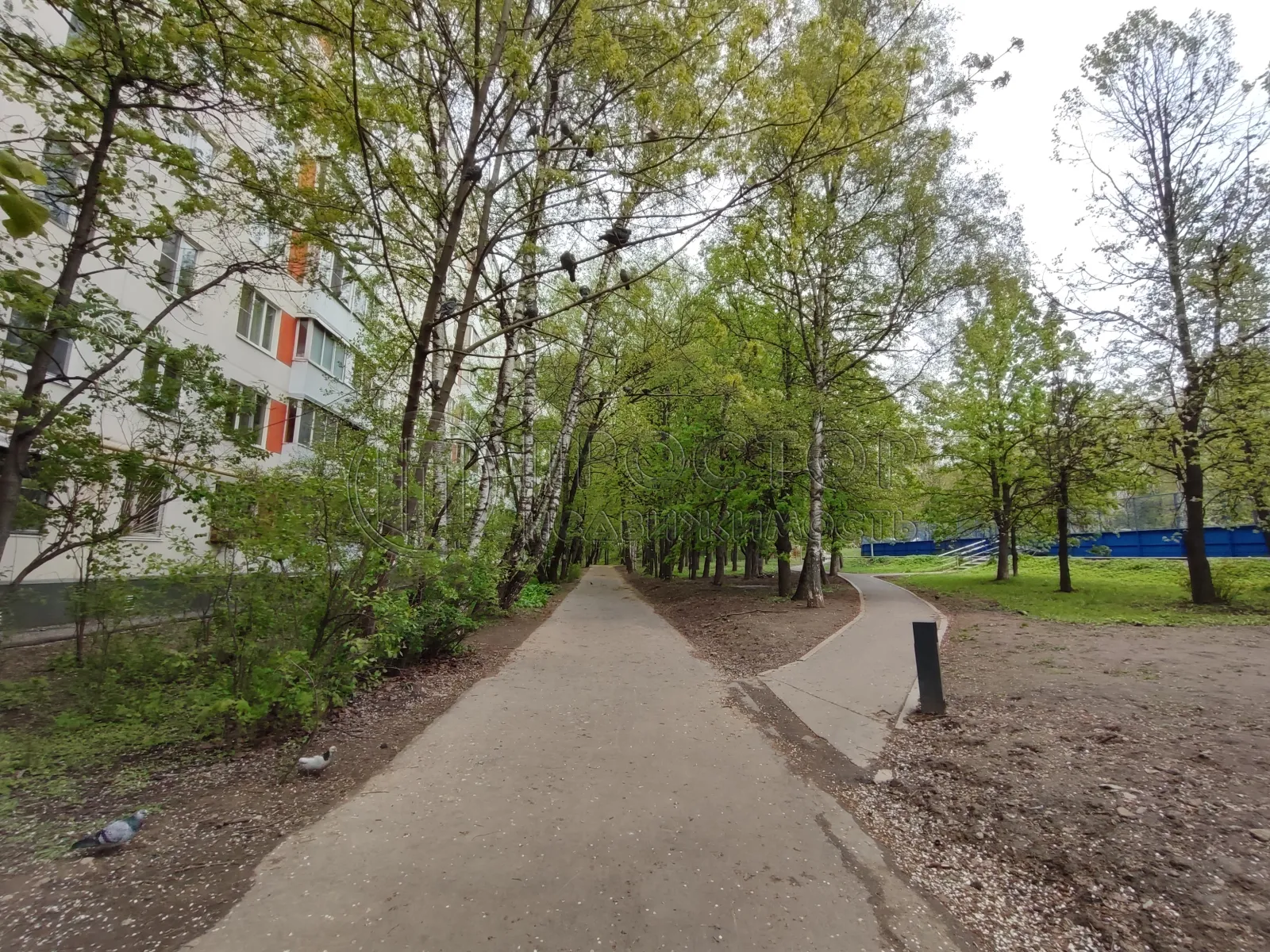 1-комнатная квартира, 33.3 м² - фото 14