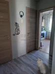 2-комнатная квартира, 50.9 м² - фото 32