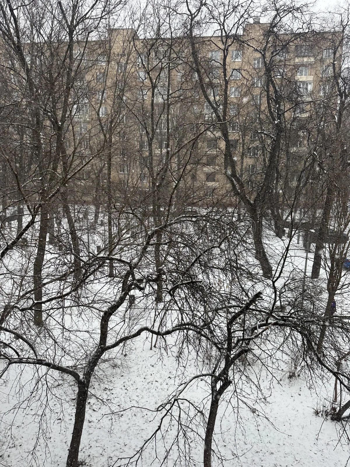 3-комнатная квартира, 54.4 м² - фото 4